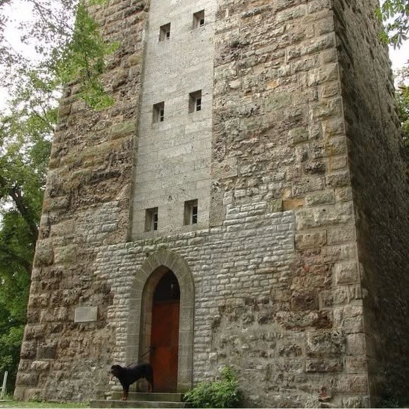 Meet your Posher, Michelle - Picture 4 of 8